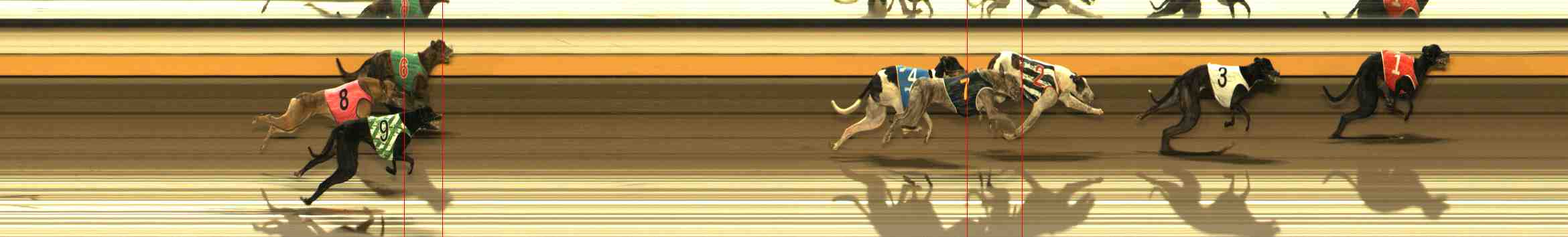 Photo finish for Warrnambool Race 12