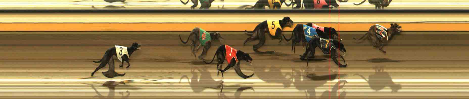 Photo finish for Warrnambool Race 13