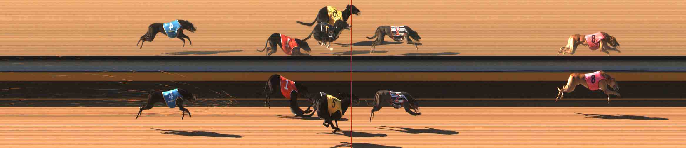 Photo finish for Warrnambool Race 1