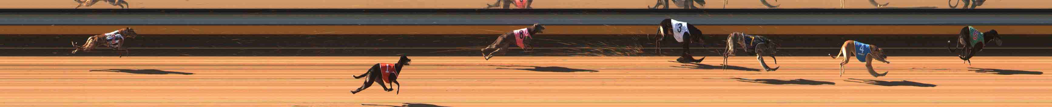 Photo finish for Warrnambool Race 2
