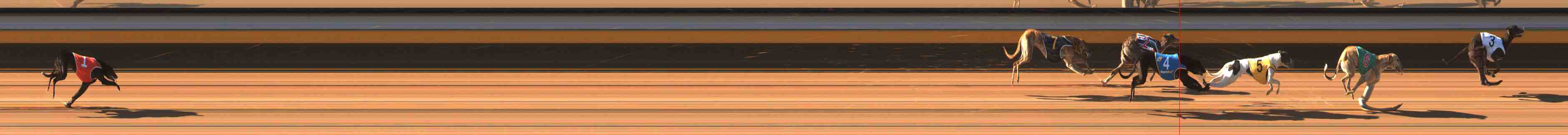 Photo finish for Warrnambool Race 3