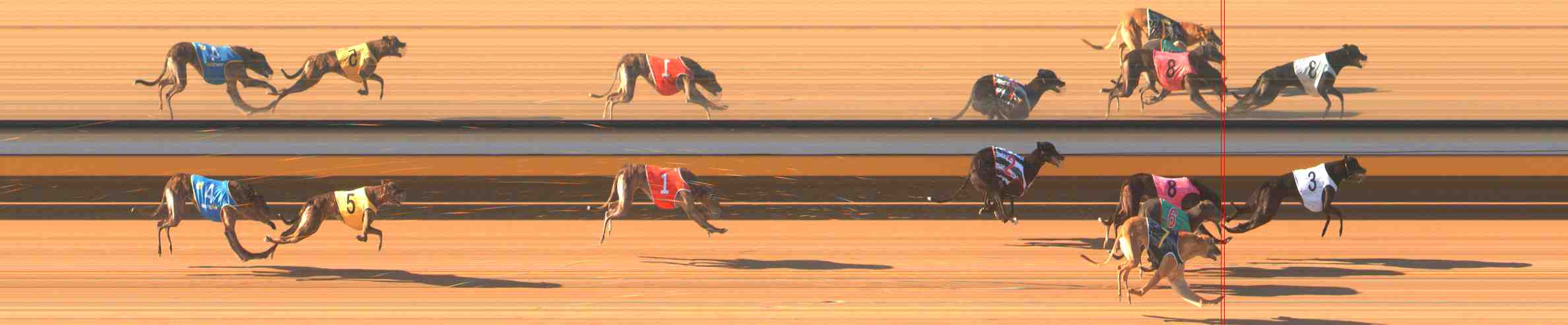 Photo finish for Warrnambool Race 4