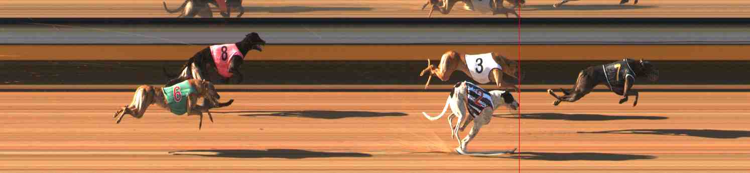 Photo finish for Warrnambool Race 5