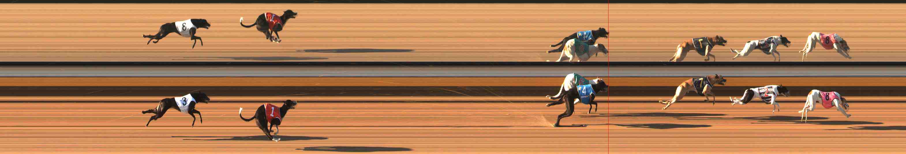 Photo finish for Warrnambool Race 6