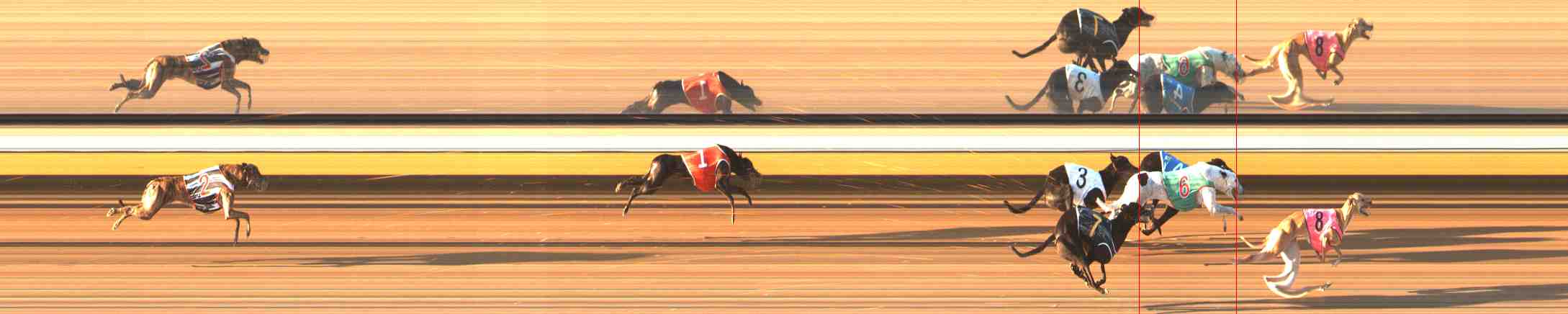 Photo finish for Warrnambool Race 7