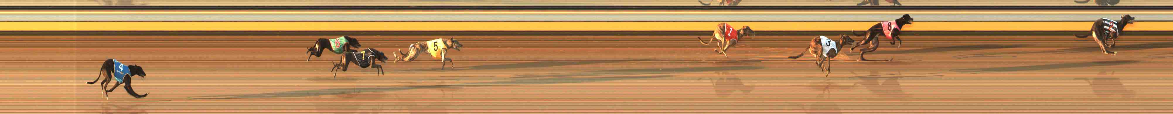 Photo finish for Warrnambool Race 8