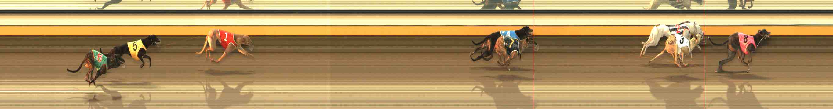 Photo finish for Warrnambool Race 9
