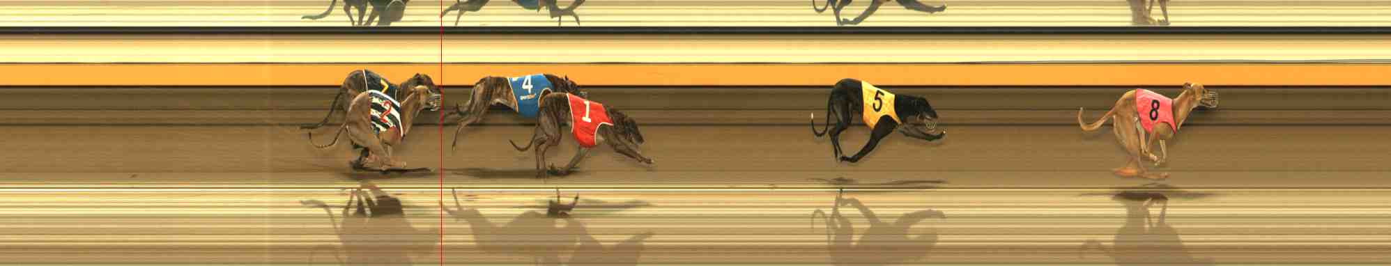 Photo finish for Warrnambool Race 10