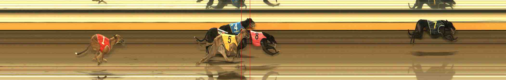 Photo finish for Warrnambool Race 11