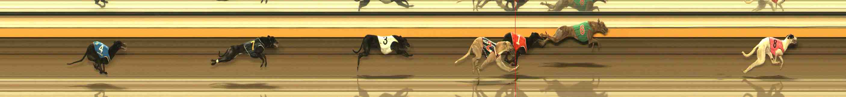 Photo finish for Warrnambool Race 12