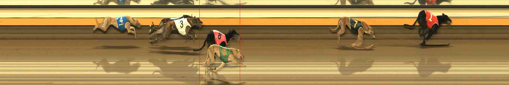 Photo finish for Warrnambool Race 13