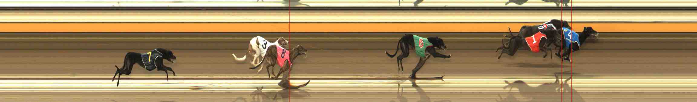 Photo finish for Warrnambool Race 1