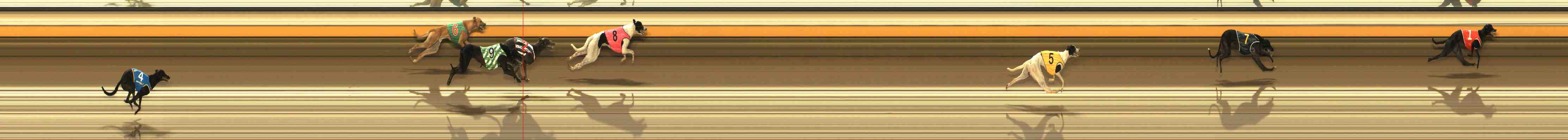 Photo finish for Warrnambool Race 2