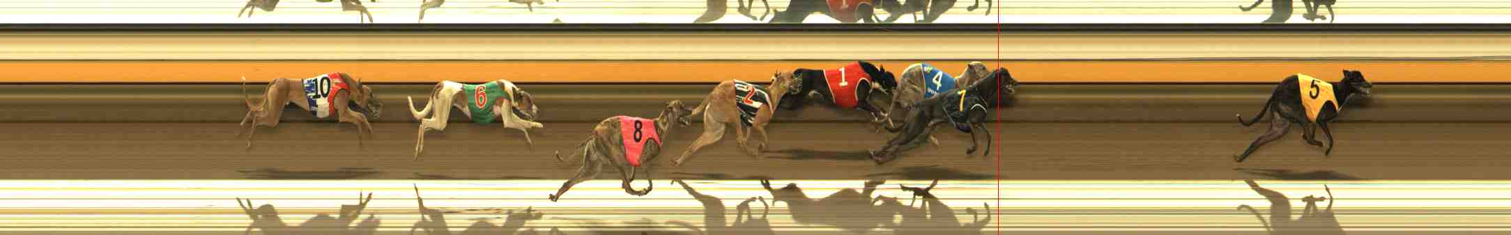 Photo finish for Warrnambool Race 3