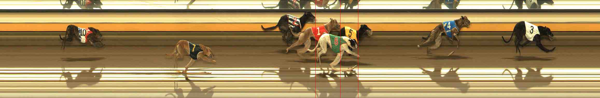Photo finish for Warrnambool Race 4