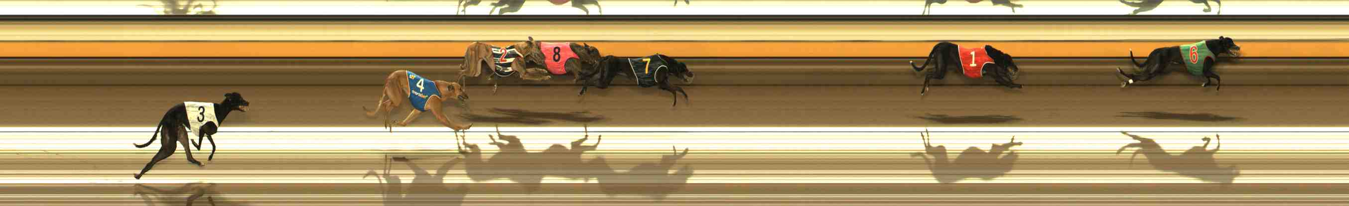 Photo finish for Warrnambool Race 5