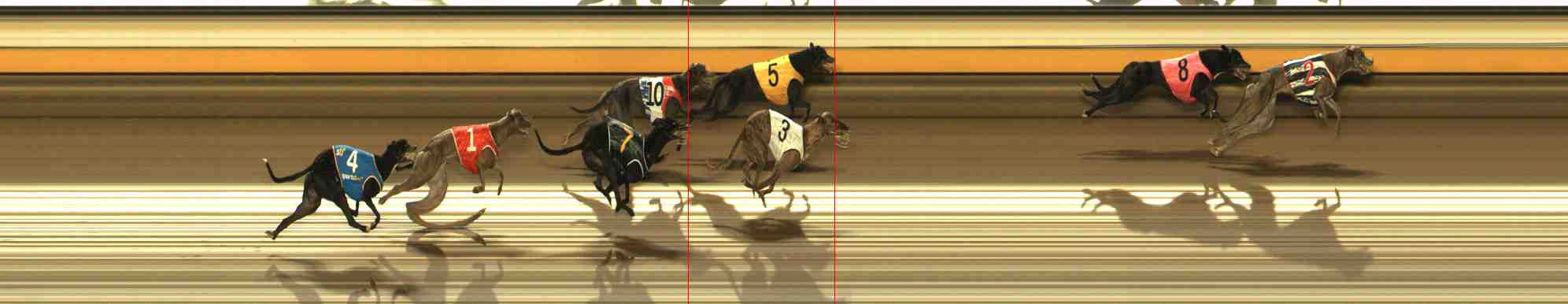 Photo finish for Warrnambool Race 6