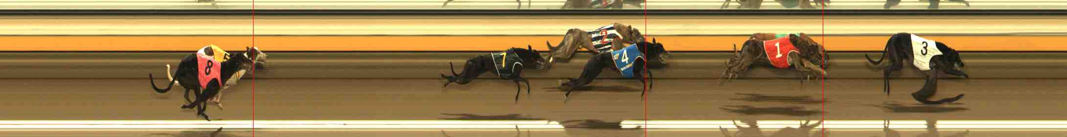 Photo finish for Warrnambool Race 7