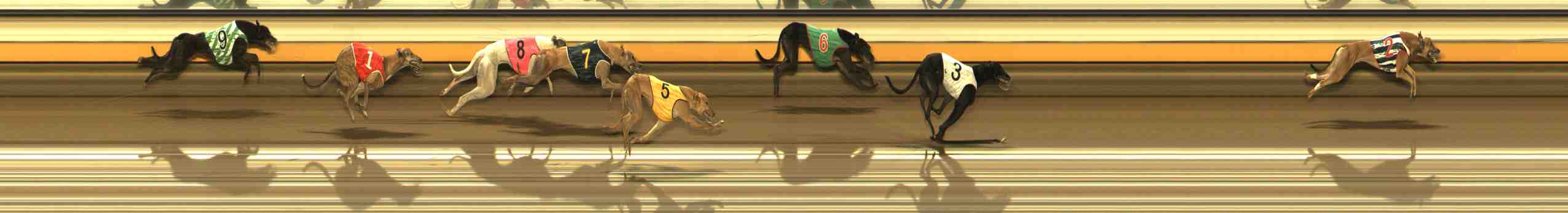 Photo finish for Warrnambool Race 8