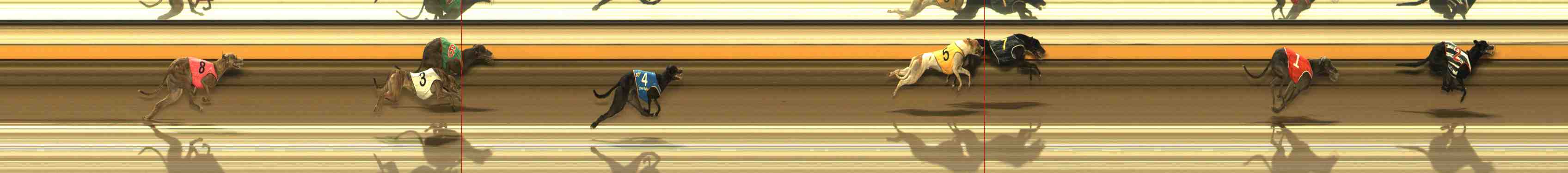 Photo finish for Warrnambool Race 9