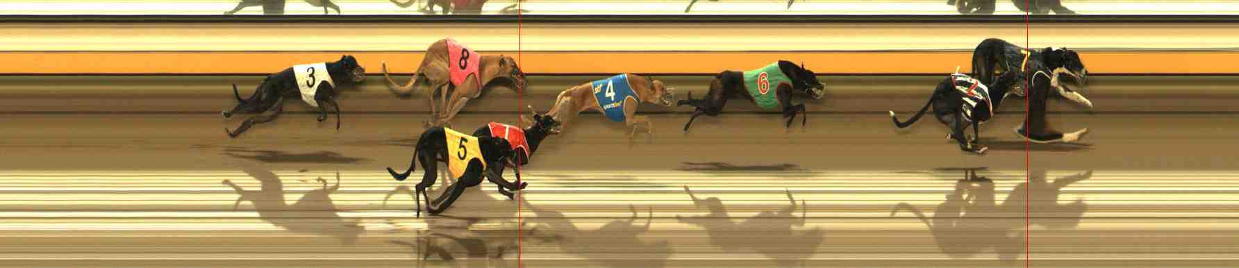 Photo finish for Warrnambool Race 11