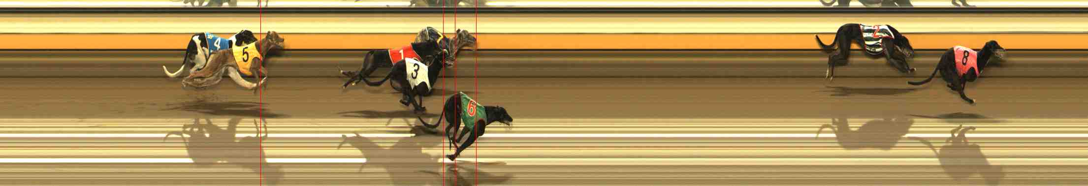 Photo finish for Warrnambool Race 12