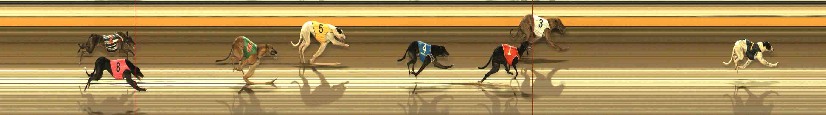 Photo finish for Warrnambool Race 13