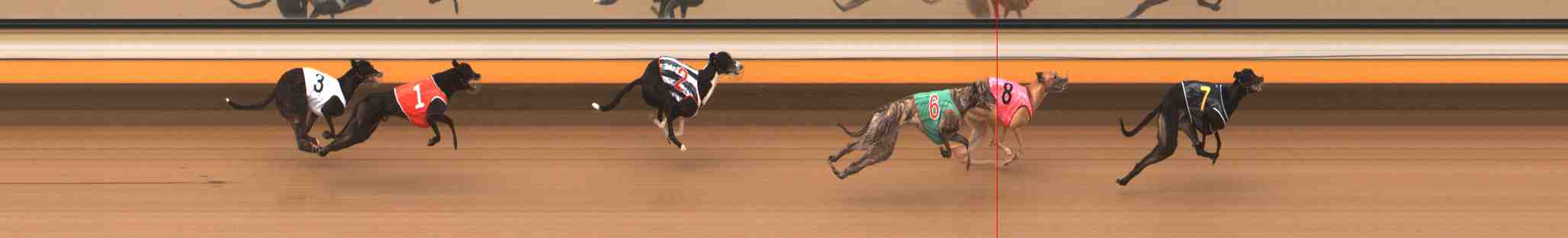 Photo finish for Warrnambool Race 1