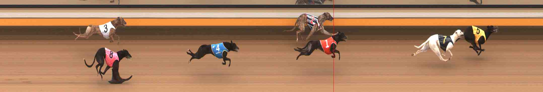 Photo finish for Warrnambool Race 2