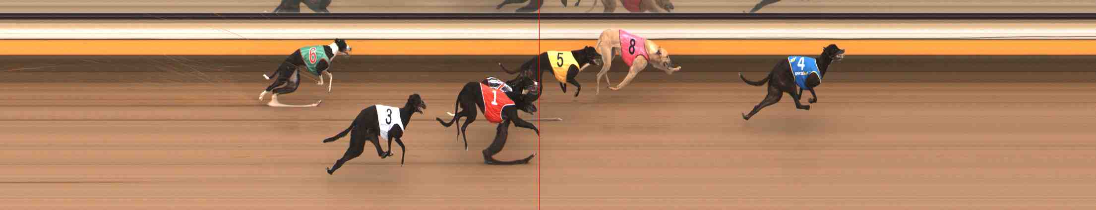Photo finish for Warrnambool Race 3