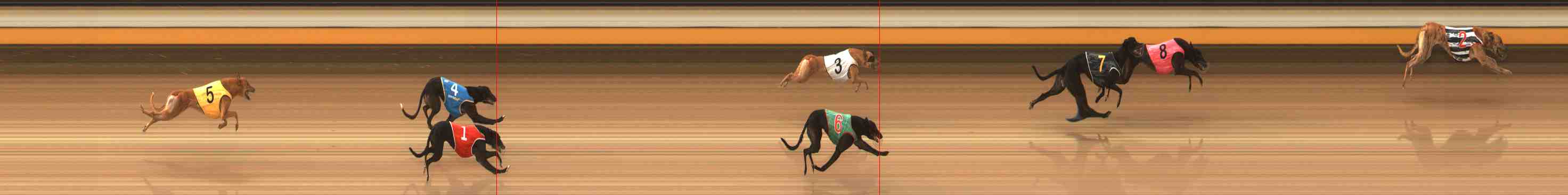 Photo finish for Warrnambool Race 4