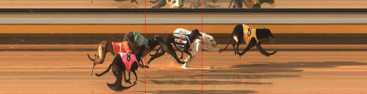 Photo finish for Warrnambool Race 5