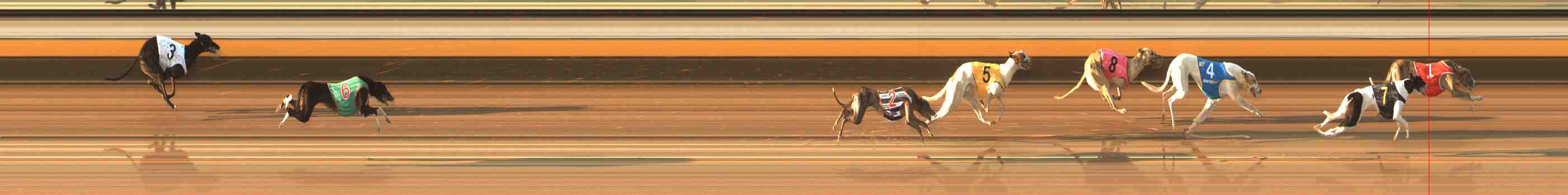 Photo finish for Warrnambool Race 6