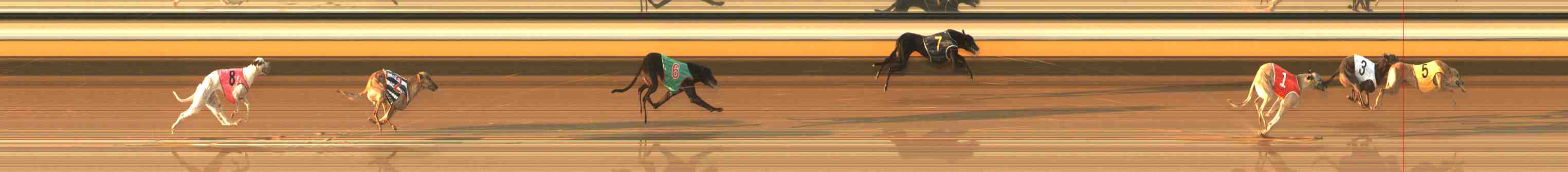 Photo finish for Warrnambool Race 7