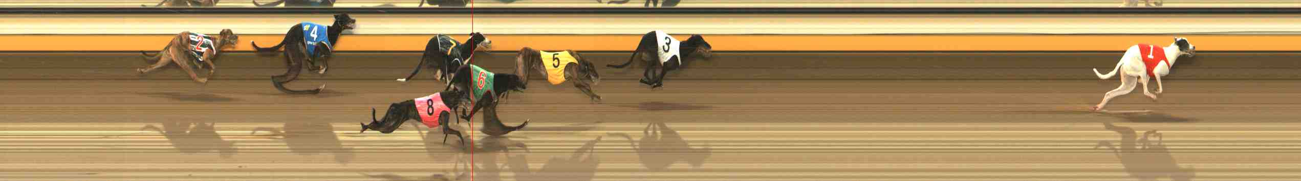 Photo finish for Warrnambool Race 8
