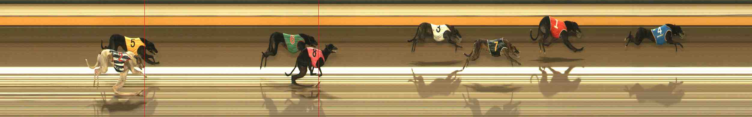 Photo finish for Warrnambool Race 9
