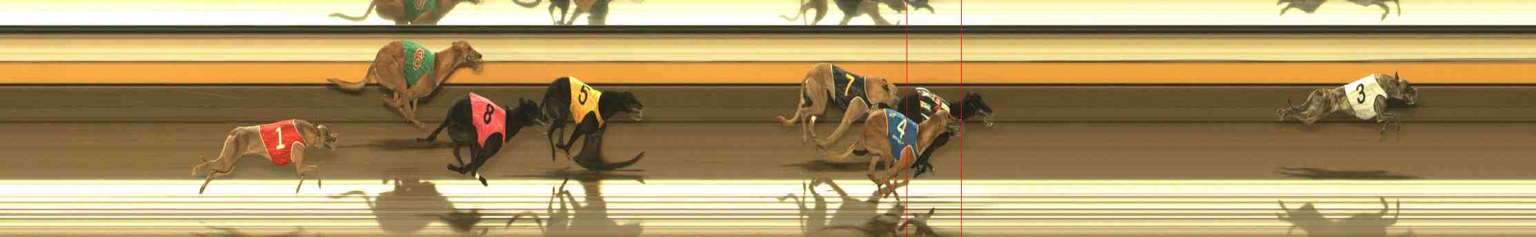 Photo finish for Warrnambool Race 10
