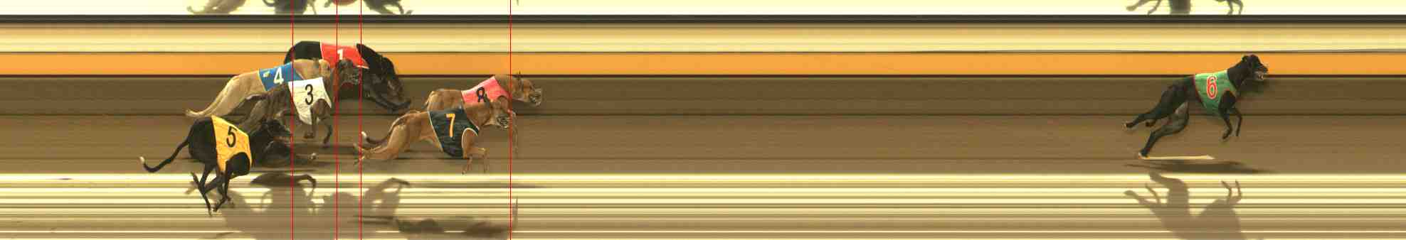 Photo finish for Warrnambool Race 11