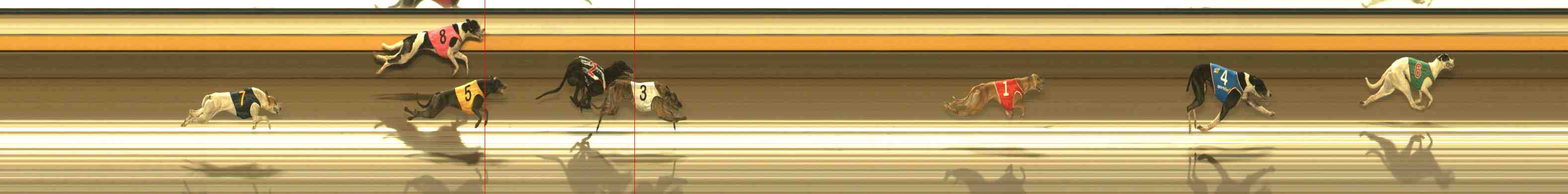 Photo finish for Warrnambool Race 12
