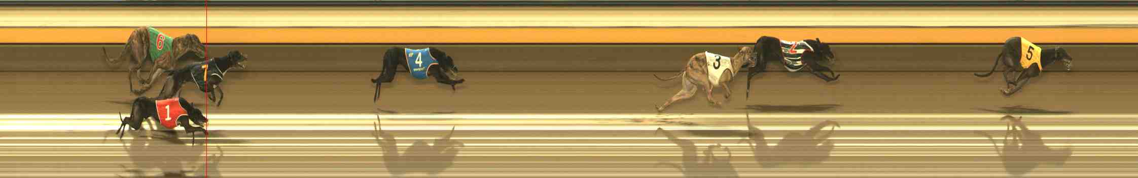 Photo finish for Warrnambool Race 13