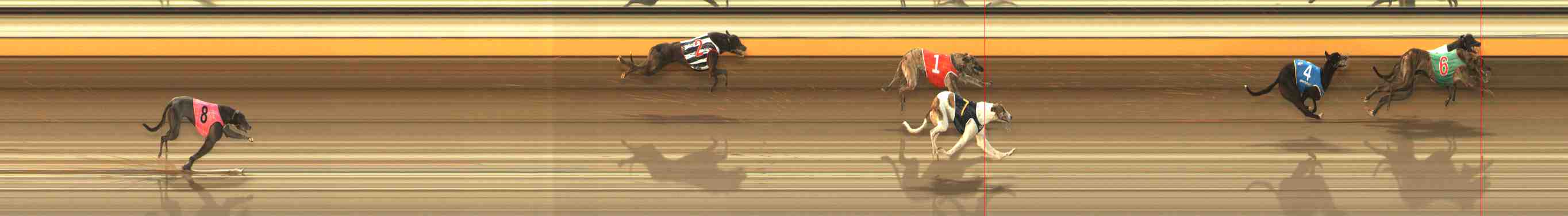 Photo finish for Warrnambool Race 1