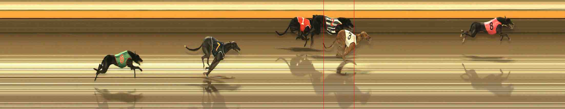 Photo finish for Warrnambool Race 2
