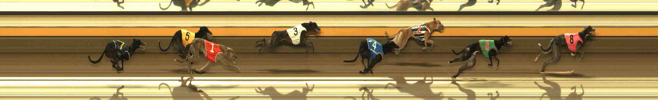 Photo finish for Warrnambool Race 3