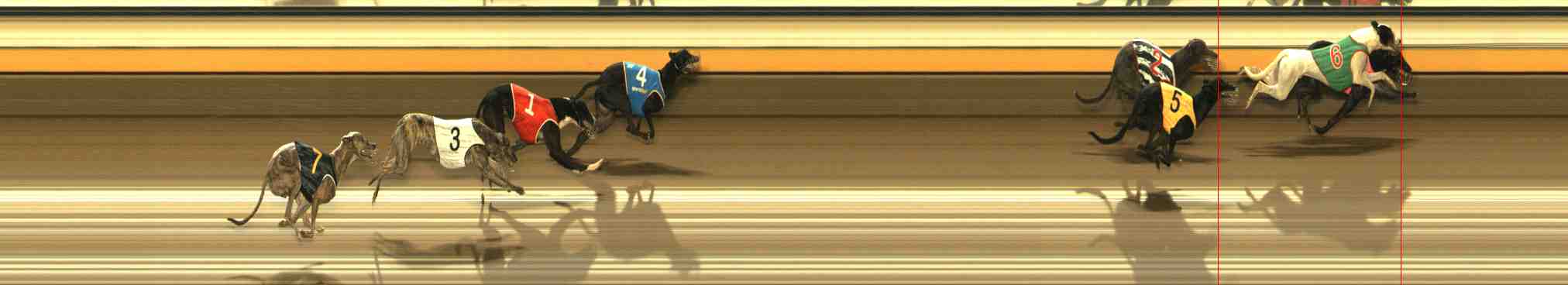 Photo finish for Warrnambool Race 4
