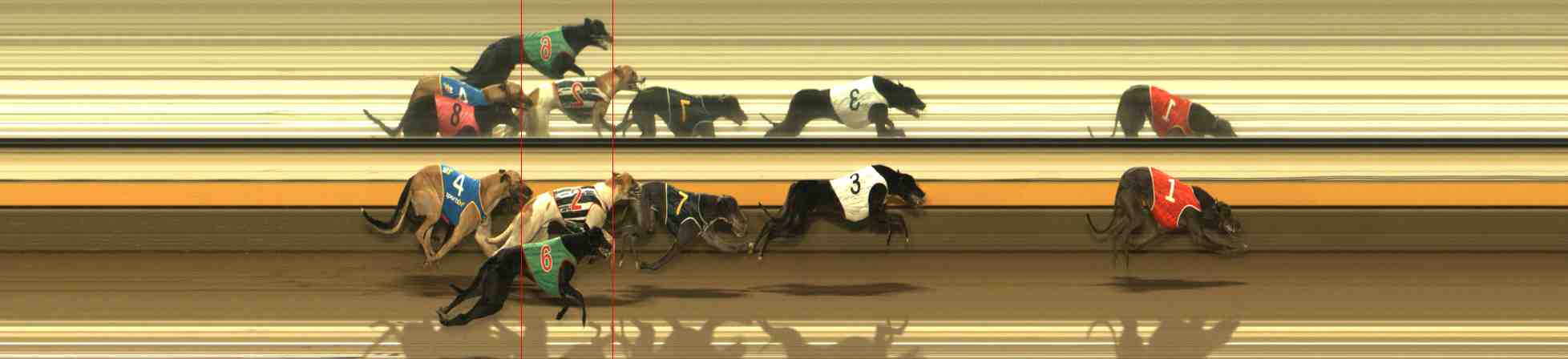 Photo finish for Warrnambool Race 5