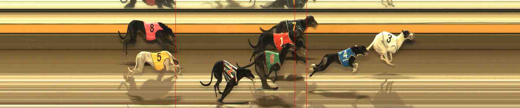 Photo finish for Warrnambool Race 6