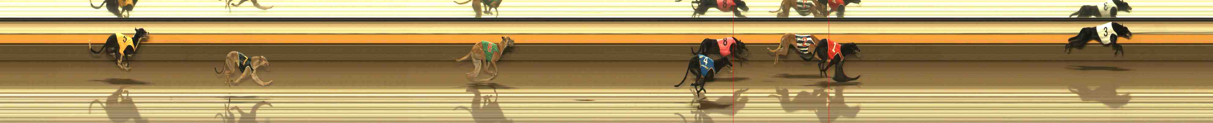 Photo finish for Warrnambool Race 7