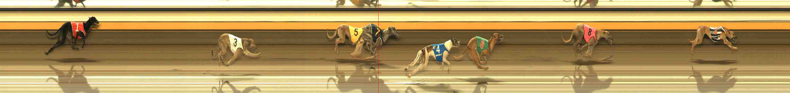 Photo finish for Warrnambool Race 9