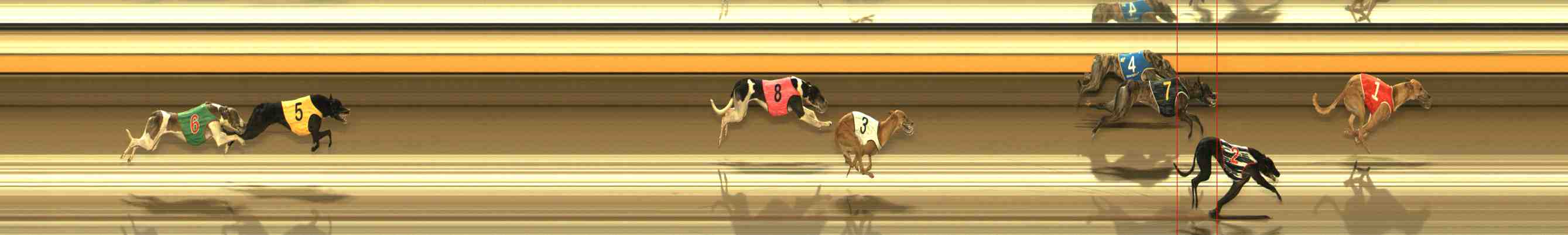Photo finish for Warrnambool Race 10