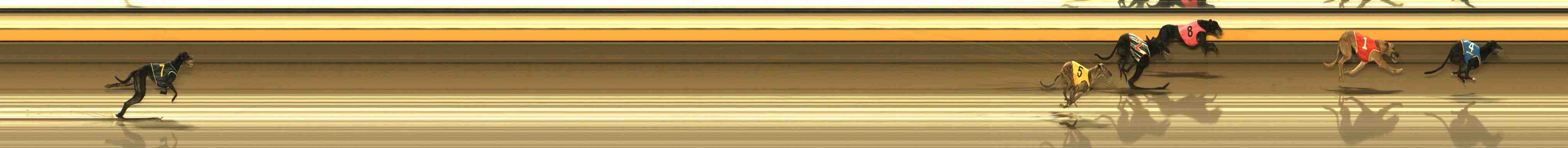 Photo finish for Warrnambool Race 11